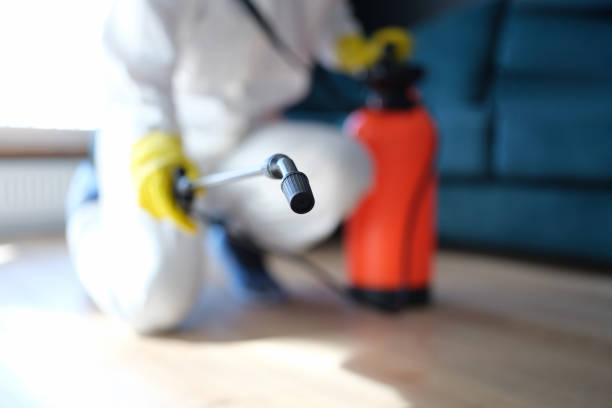 Professional Mold Removal in Lamar, AR